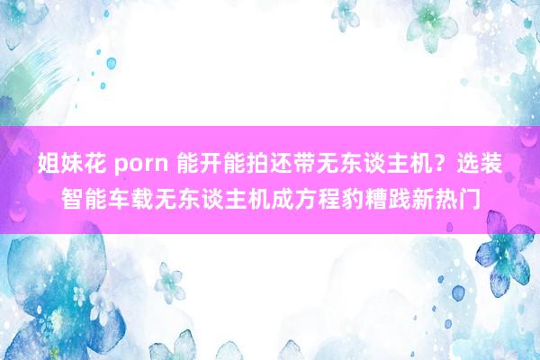 姐妹花 porn 能开能拍还带无东谈主机？选装智能车载无东谈主机成方程豹糟践新热门
