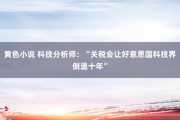 黄色小说 科技分析师：“关税会让好意思国科技界倒退十年”