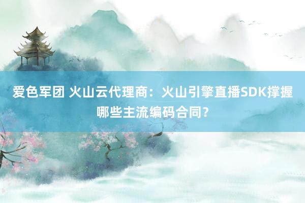 爱色军团 火山云代理商：火山引擎直播SDK撑握哪些主流编码合同？