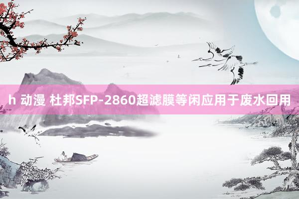 h 动漫 杜邦SFP-2860超滤膜等闲应用于废水回用