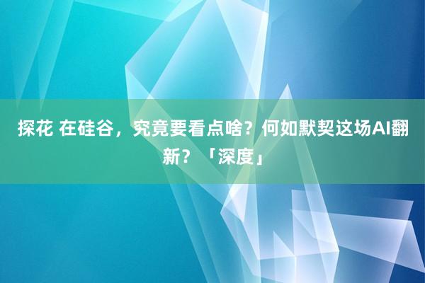 探花 在硅谷，究竟要看点啥？何如默契这场AI翻新？「深度」
