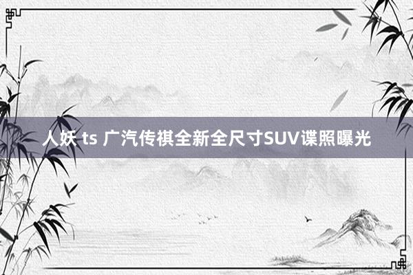人妖 ts 广汽传祺全新全尺寸SUV谍照曝光
