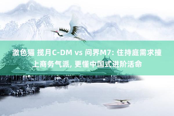 激色猫 揽月C-DM vs 问界M7: 住持庭需求撞上商务气派, 更懂中国式进阶活命