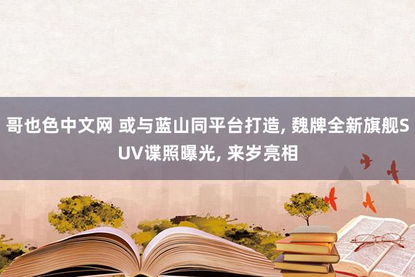 哥也色中文网 或与蓝山同平台打造, 魏牌全新旗舰SUV谍照曝光, 来岁亮相