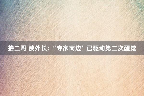 撸二哥 俄外长: “专家南边”已驱动第二次醒觉