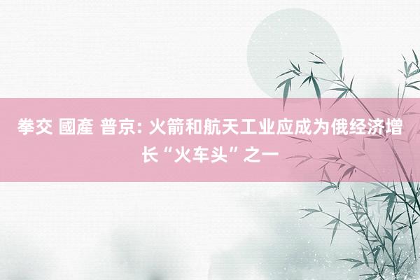 拳交 國產 普京: 火箭和航天工业应成为俄经济增长“火车头”之一