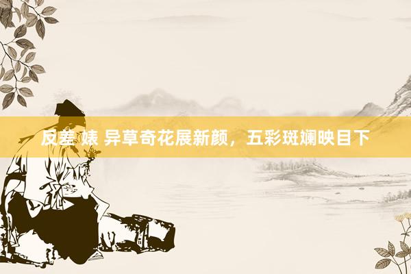 反差 婊 异草奇花展新颜，五彩斑斓映目下